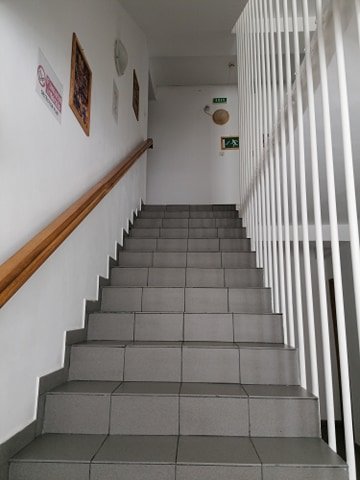 Busteni, ideal azil, hotel,