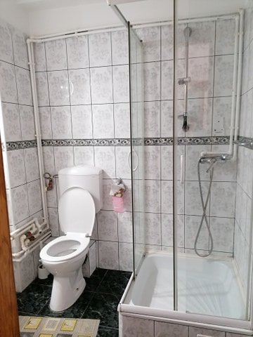 Busteni, ideal azil, hotel,